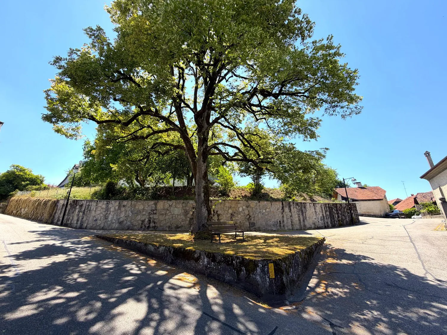 Building lot of 517.00 m2
