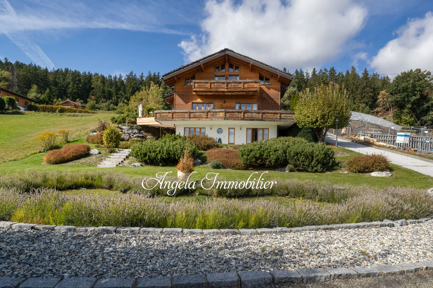 Chalet Hirondelles - Blûche