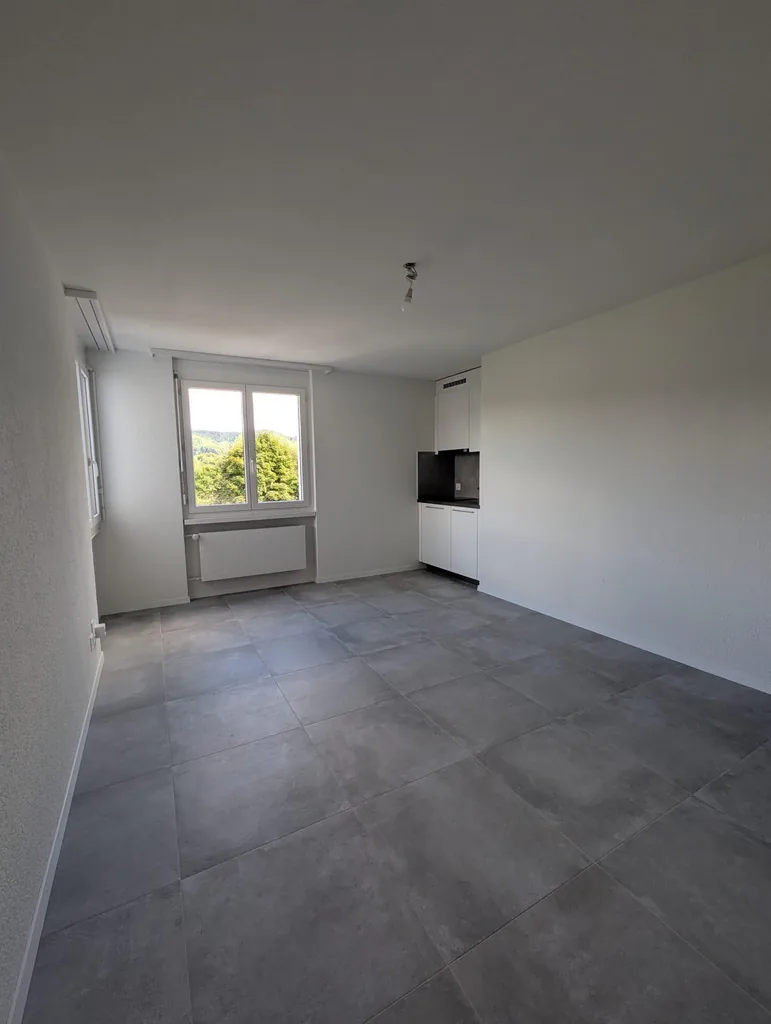 1-bedroom apartment on the 1st floor