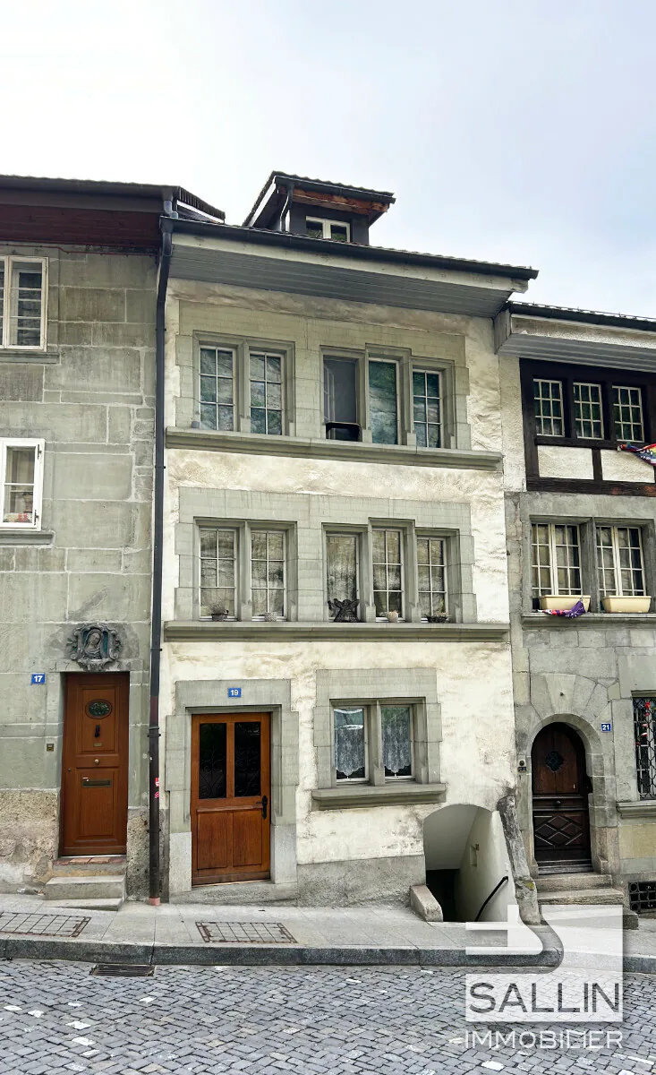 APPARTEMENT DUPLEX RENOVE DE 3½ PIECES A L'ENTREE DE LA BASSE VILLE