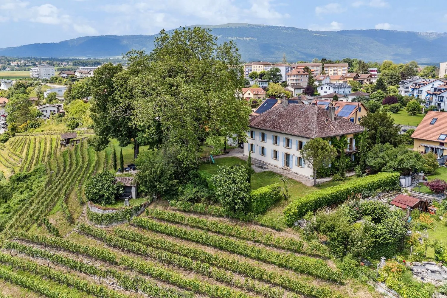 Somptueuse propriété historique sur un domaine viticole !