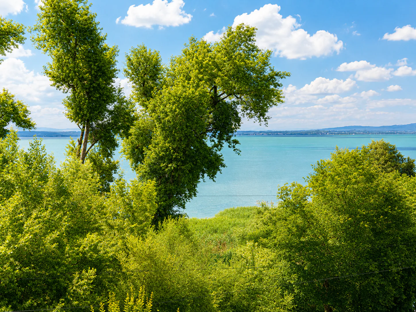 Vivere nella prima fila del lago – Appartamento attico esclusivo di 6,5 locali con vista incontaminata sul lago di Costanza