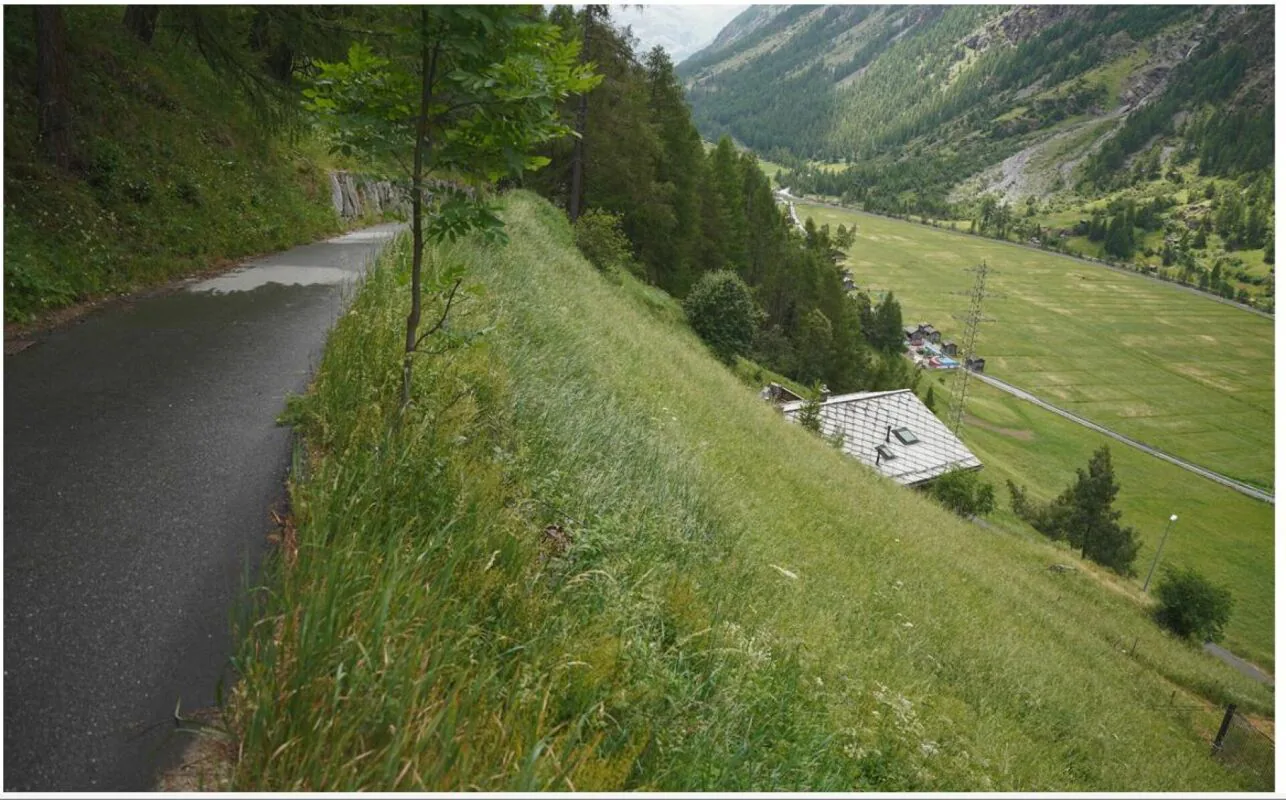 Terrain avec vue panoramique