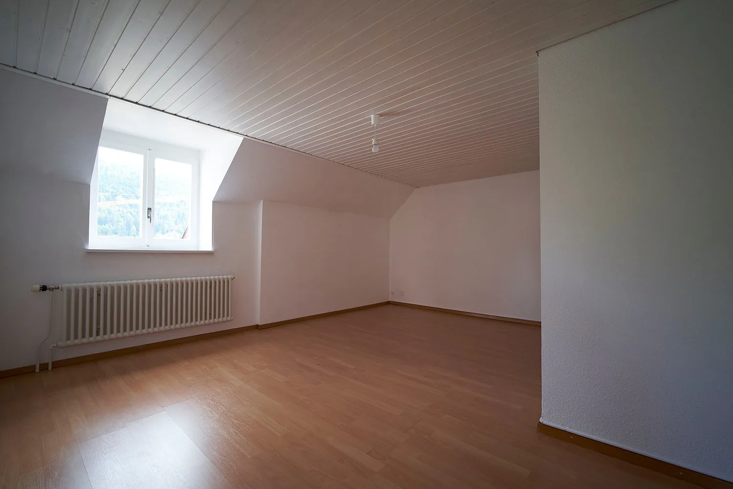 Charming and very bright 3-bedroom apartment with separate kitchen and bathroom