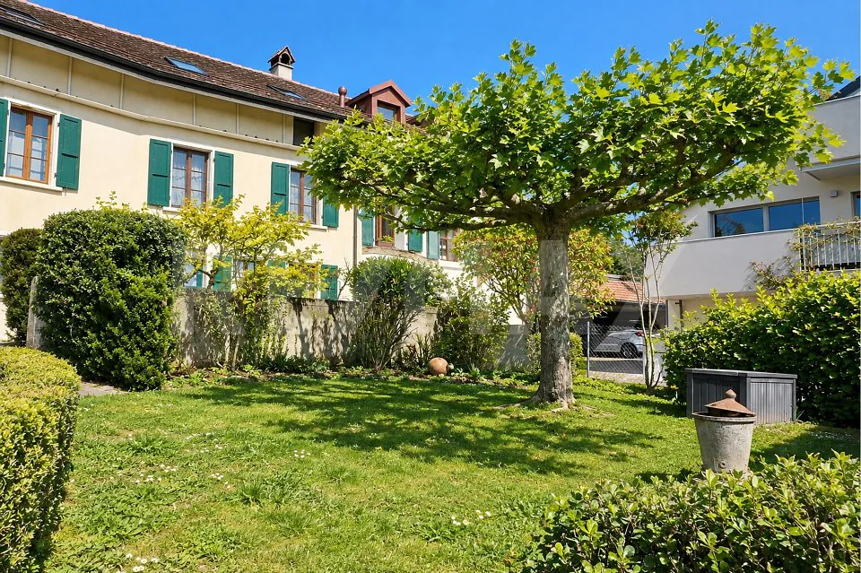 Between vineyard and Lake Geneva: 273 m² village house