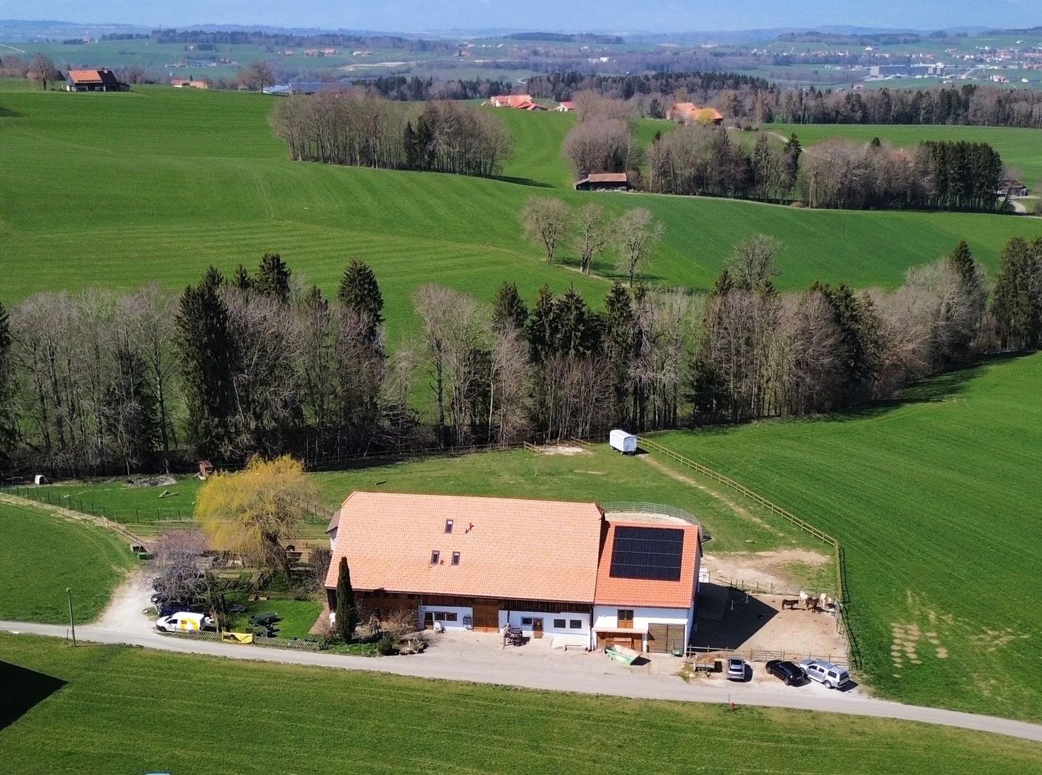 Azienda Equina con 6 Alloggi e 10'474 m² di Terreno