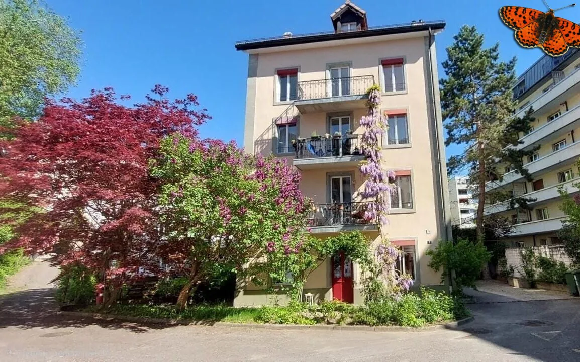 2½ Zimmer - Ruhig