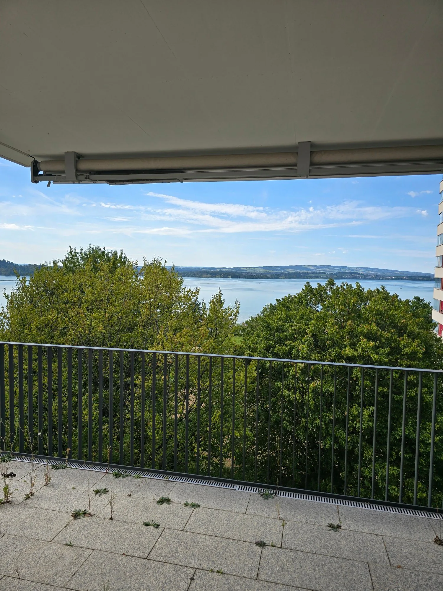 4.5-room apartment with panoramic views of the lake and mountains