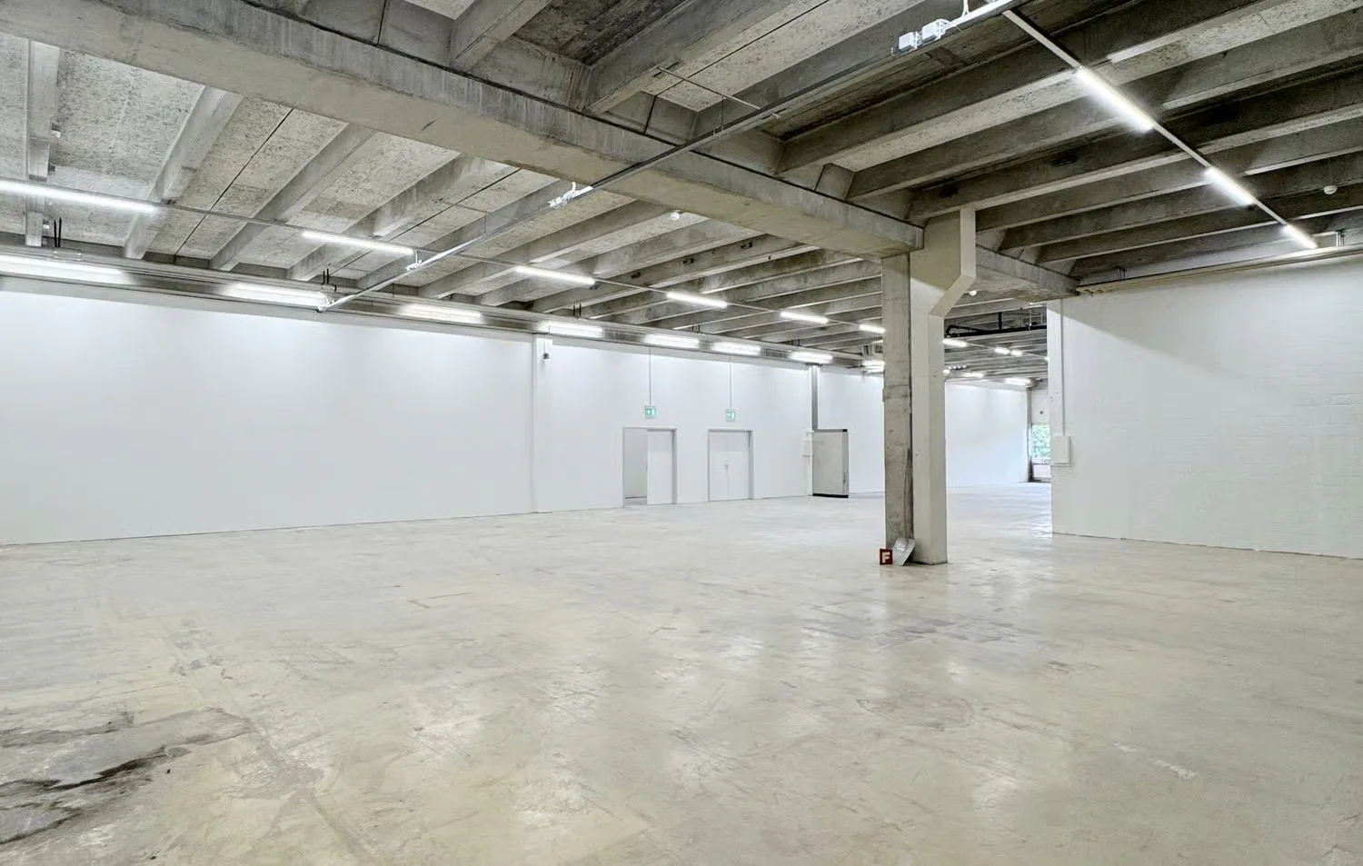 Flexible Lagerfläche ab 250 m² – ideal für Handwerk, Dienstleistung oder Produktion