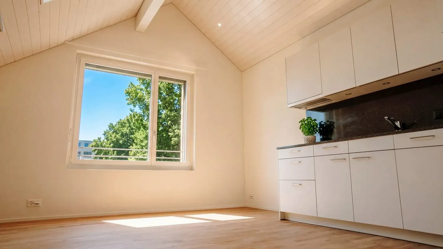 Helles 1.5-Zimmer-Dachstudio in Dübendorf mieten